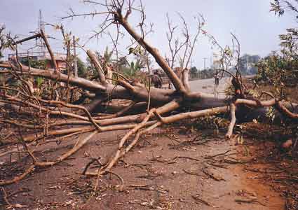 Maoists put stones and logs on Daldale Bridge at Butwal-Narayanghat section of Mahendra Highway.